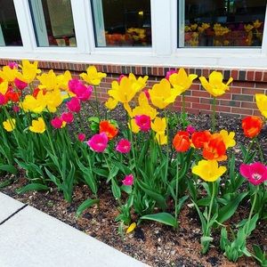 Meet your Posher, Fabiola